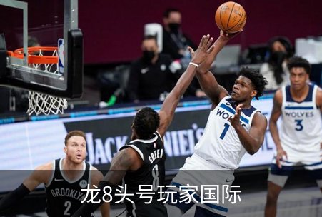 龙8头号玩家国际概况