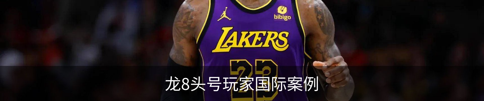 龙8头号玩家国际案例